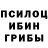 Псилоцибиновые грибы ЛСД Devid Rossentall